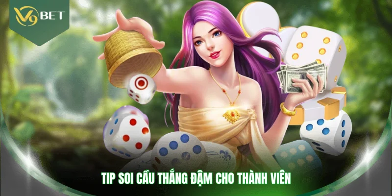 Tip soi cầu thắng đậm cho thành viên